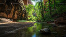Sunlit Canyon with Lush Greenery and Tranquil Stream