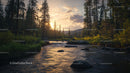 Sunset Over Serene Forest Stream with Lush Greenery