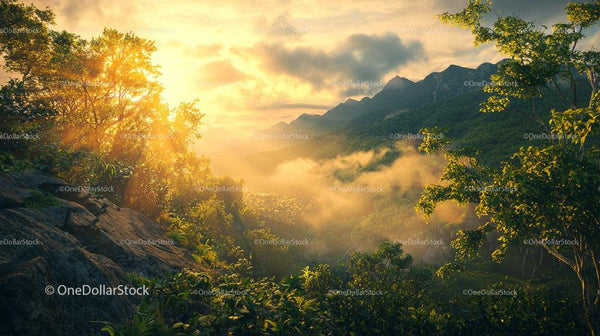 Stunning Sunset Over Misty Forest and Mountain Range