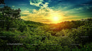 Vibrant Sunset Over Lush Green Forest Landscape
