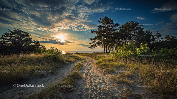 Scenic Beach Pathway at Sunset with Pine Trees