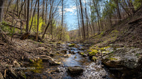 Serene Forest Stream with Sunlight and Mossy Rocks