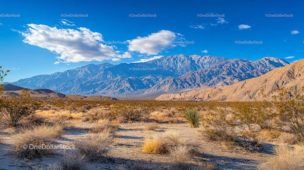 Scenic Desert Landscape with Majestic Mountain View