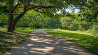 Sunny Pathway through Lush Green Park