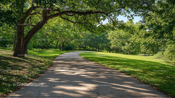Sunny Pathway through Lush Green Park