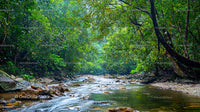 Tranquil River Flowing Through Lush Forested Landscape
