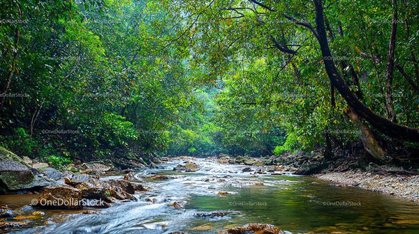 Tranquil River Flowing Through Lush Forested Landscape