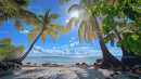 Tranquil Tropical Beach with Sunlit Palm Trees and Blue Sky