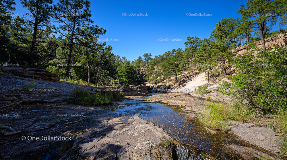 Mountain Stream Flowing Through Rocky Pine Forest