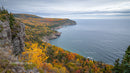 Vibrant Autumn Foliage Along Dramatic Coastal Cliffs