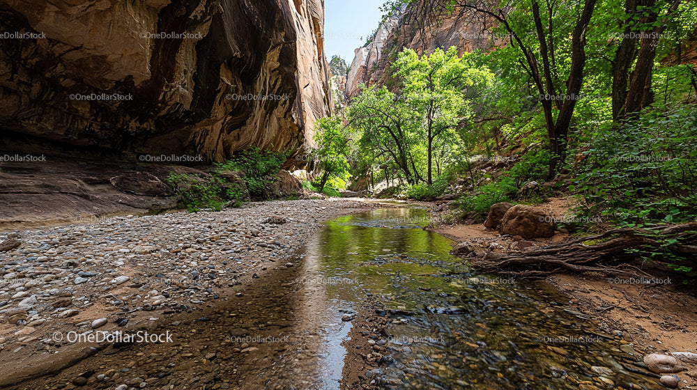 Serene Creek Flowing Through Lush Canyon Landscape