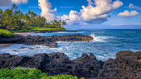 Tropical Paradise Beach with Volcanic Rocks and Palm Trees