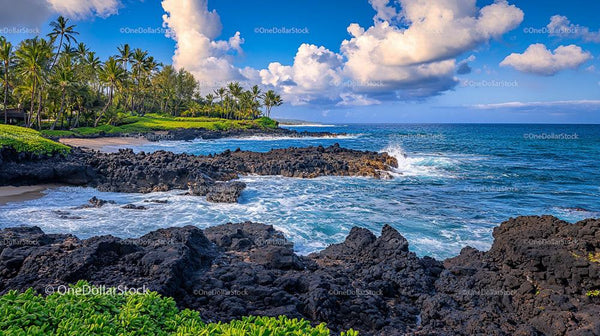 Tropical Paradise Beach with Volcanic Rocks and Palm Trees