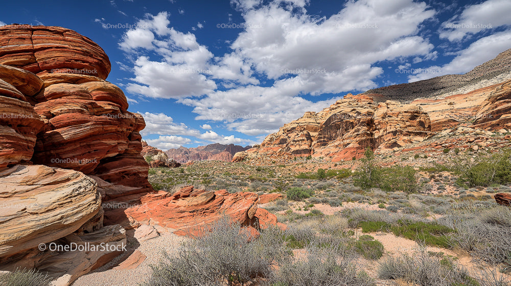 Red Rock Canyons under Blue Skies