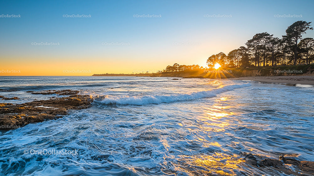 Sunset Over Coastal Landscape with Ocean and Trees
