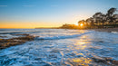 Sunset Over Coastal Landscape with Ocean and Trees