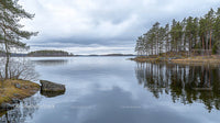 Serene Northern Lake with Pine Forest Reflections