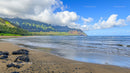 Stunning Na Pali Coastline with Lush Greenery and Blue Ocean
