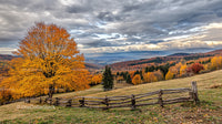 Scenic Autumn Landscape with Vibrant Orange Foliage