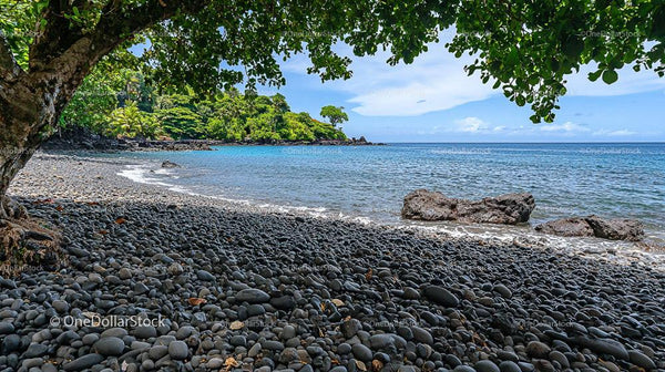 Idyllic Rocky Beach with Lush Tropical Vegetation