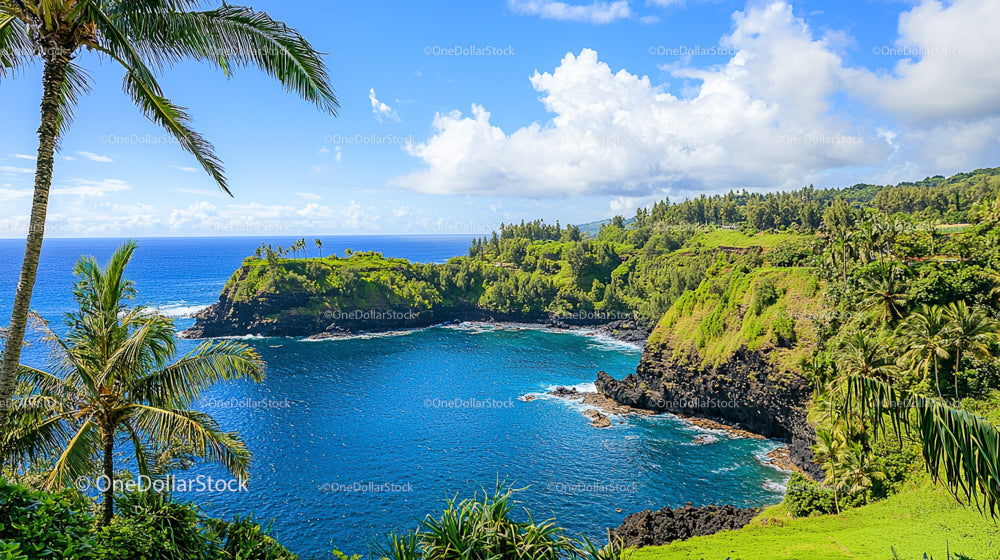 Tropical Island with Lush Greenery and Blue Ocean