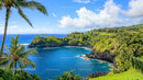 Tropical Island with Lush Greenery and Blue Ocean