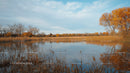 Tranquil Autumn Lake with Golden Trees and Clear Sky