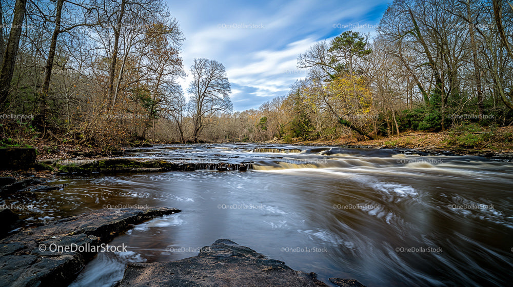 Tranquil Autumn Stream in a Dense Forest Setting