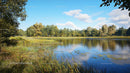 Serene Lake Surrounded by Lush Greenery and Blue Skies