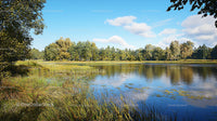 Serene Lake Surrounded by Lush Greenery and Blue Skies