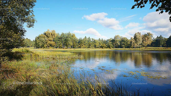Serene Lake Surrounded by Lush Greenery and Blue Skies