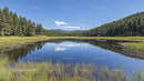 Serene Lake Reflecting Forest and Blue Sky
