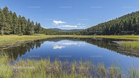Serene Lake Reflecting Forest and Blue Sky