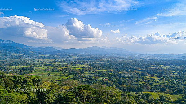 Scenic Mountain View with Expansive Green Fields