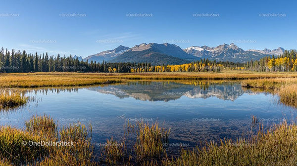Serene Lake with Snowcapped Mountains and Autumn Foliage