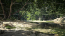Tranquil River Flowing Through Lush Green Forest Landscape