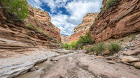 Majestic Canyon with Eroded Rock Formations and Blue Sky