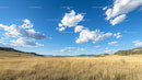 Golden Fields Under a Vast Blue Sky with Fluffy Clouds