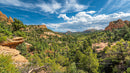 Vast Landscape with Pine Trees and Sandstone Formations Under Blue Sky