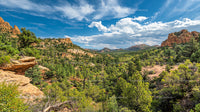 Vast Landscape with Pine Trees and Sandstone Formations Under Blue Sky