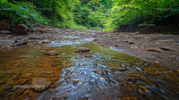 Serene Forest Stream with Rocky Riverbed in Summer
