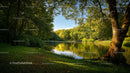Serene Lake Surrounded by Lush Greenery on a Sunny Day