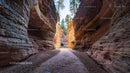 Dramatic Sandstone Canyon with Tall Cliffs and Pine Trees