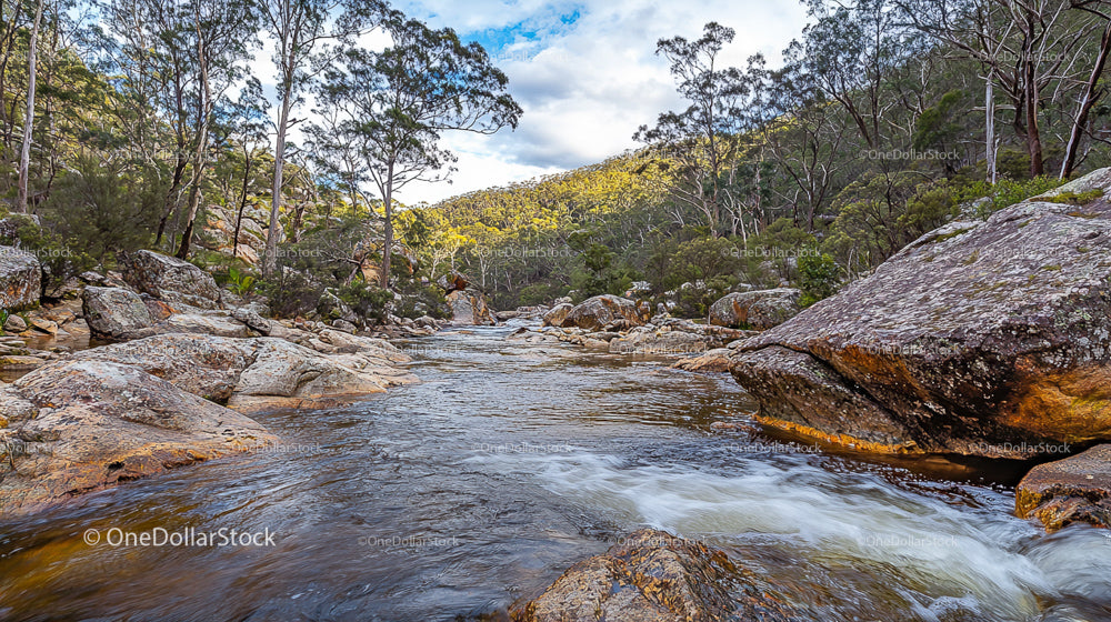 Serene Mountain Stream Flowing Through Rocky Forest