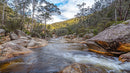 Serene Mountain Stream Flowing Through Rocky Forest