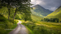 Serene Mountain Path Through Lush Green Valley