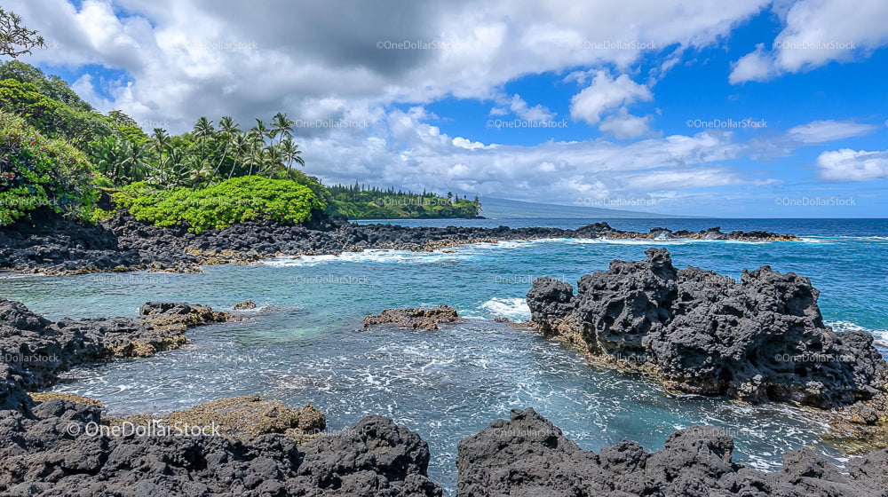 Scenic Tropical Coastline with Lava Rocks and Lush Greenery