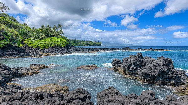 Scenic Tropical Coastline with Lava Rocks and Lush Greenery