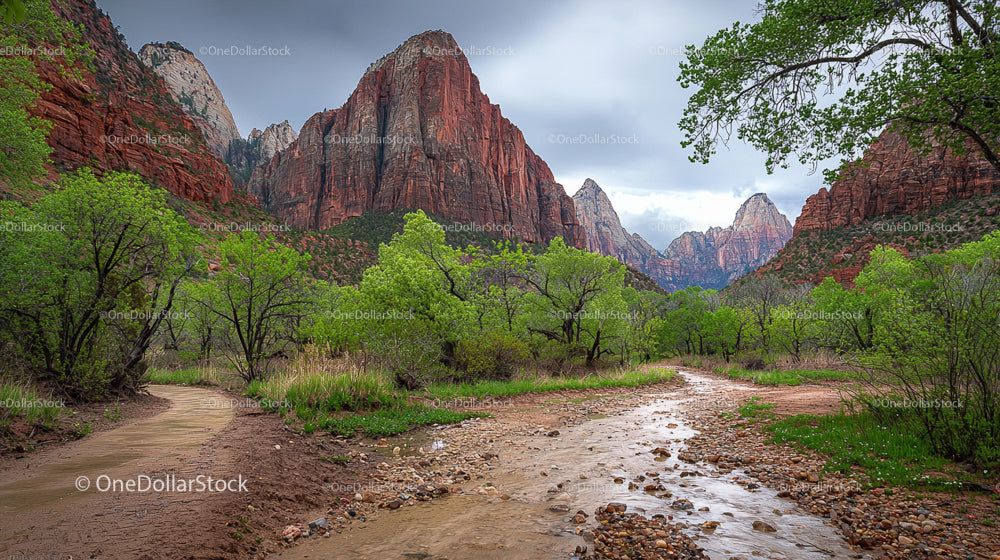 Majestic Red Cliffs and Lush Green Canyon in Zion National Park