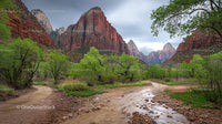 Majestic Red Cliffs and Lush Green Canyon in Zion National Park